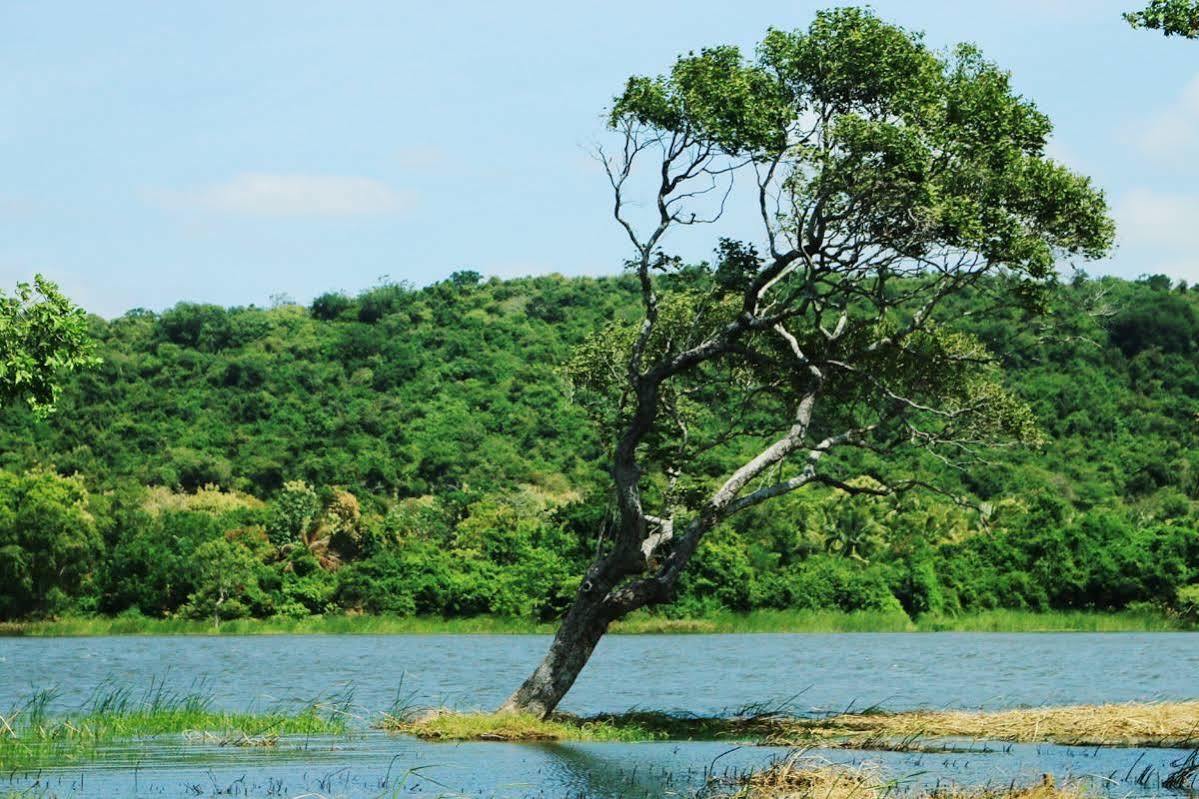 Athena Lake By Seedevi Dambulla Kültér fotó